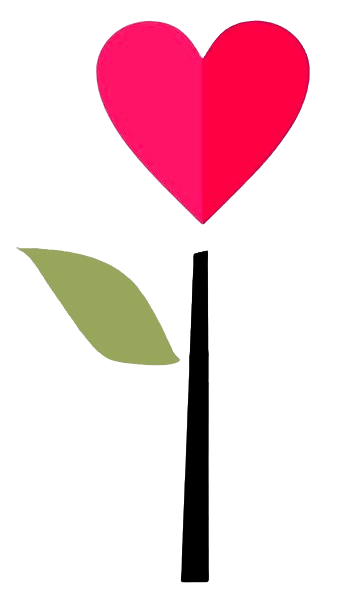 ZSSP9